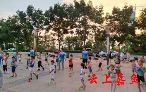 嘉魚市民休閑新風(fēng)尚 健身運(yùn)動(dòng)與場(chǎng)地設(shè)施經(jīng)營(yíng)共贏
